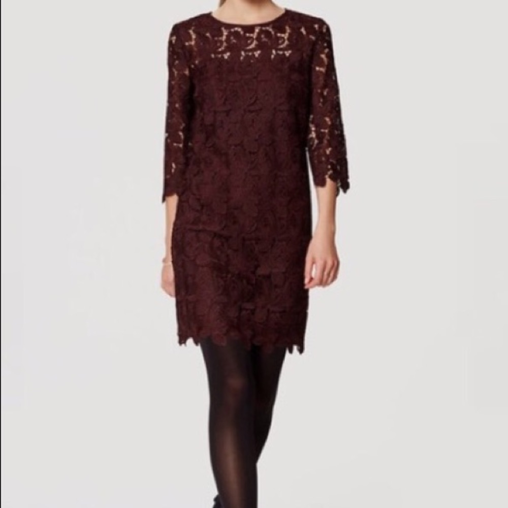 Loft plum lace dress